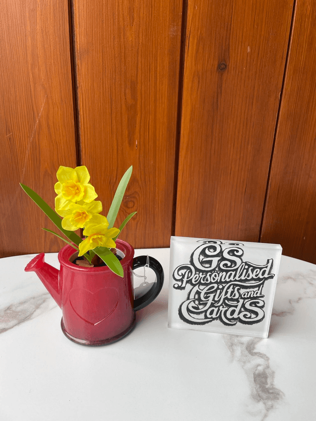 Resin watering can