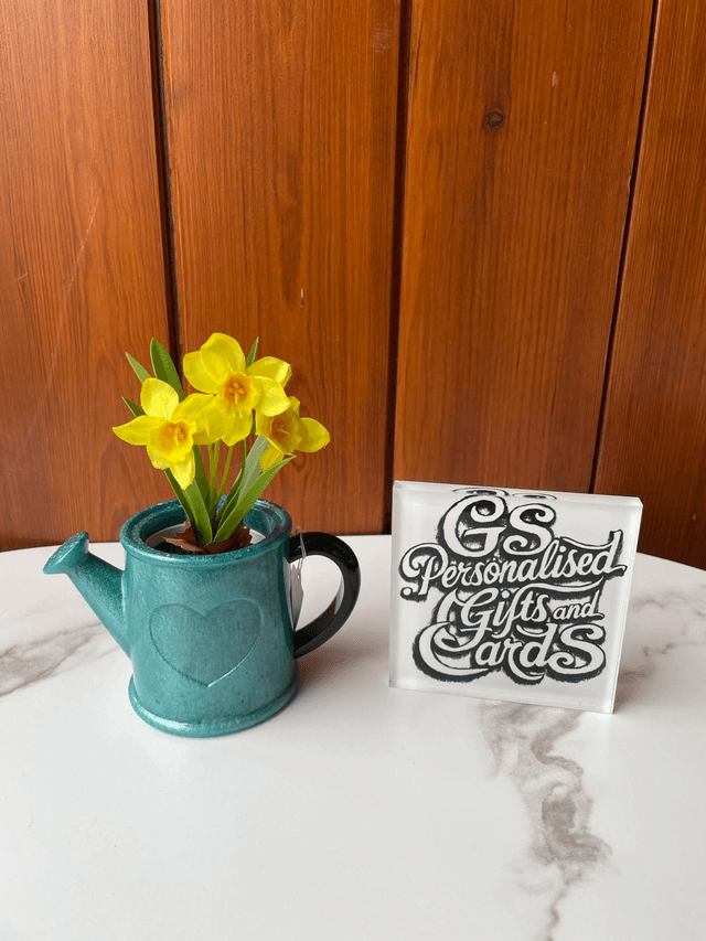 Resin watering can