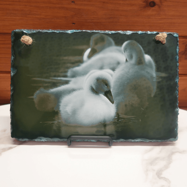 SALE! Photographic Slate