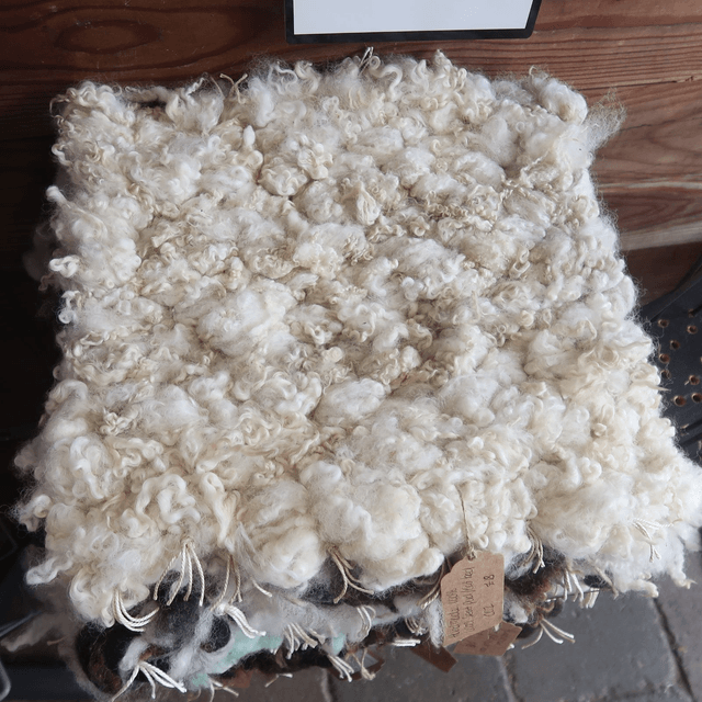 Seat Pad/Cat Bed